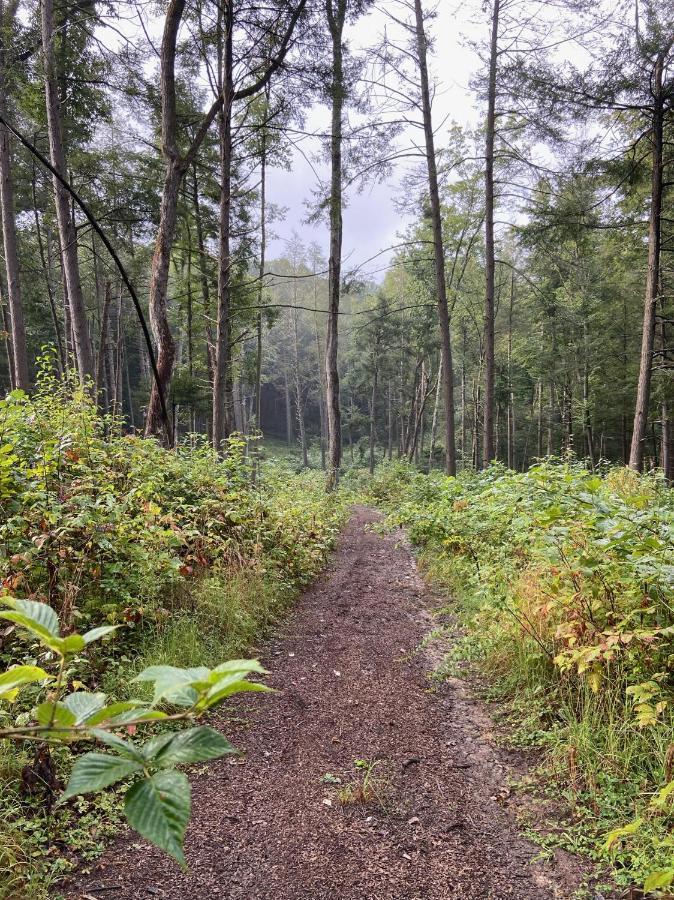 Beautiful Cabin On 83 Acres Near New River Gorge National Park Hico Extérieur photo